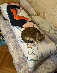Фото покупателя дакимакуры