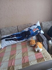 Фото покупателя дакимакуры