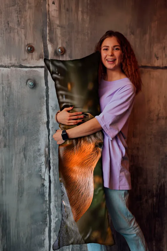 Дакимакура Капибара