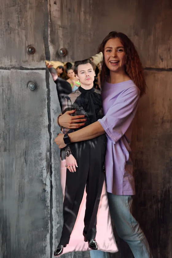 Дакимакура Гарри Стайлз