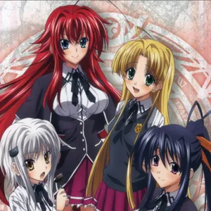 Дакимакуры из Старшая школа DxD